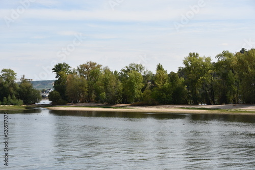 Rheininsel bei Rüdesheim