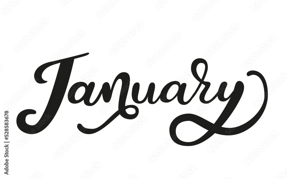 Months of the year. A beautiful and editable vector design of month January for a calendar, schedule, bullet journal, annual report, planner and agenda. 
