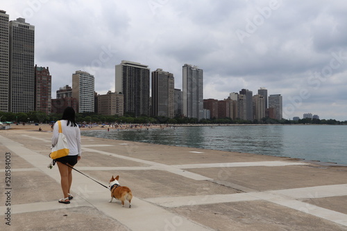 Waterfront in Chicago
