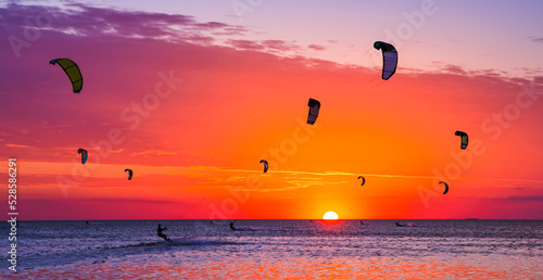 Kite-surfing against a beautiful sunset. Many silhouettes of kites in the sky. Holidays on nature. Artistic picture. Beauty world.