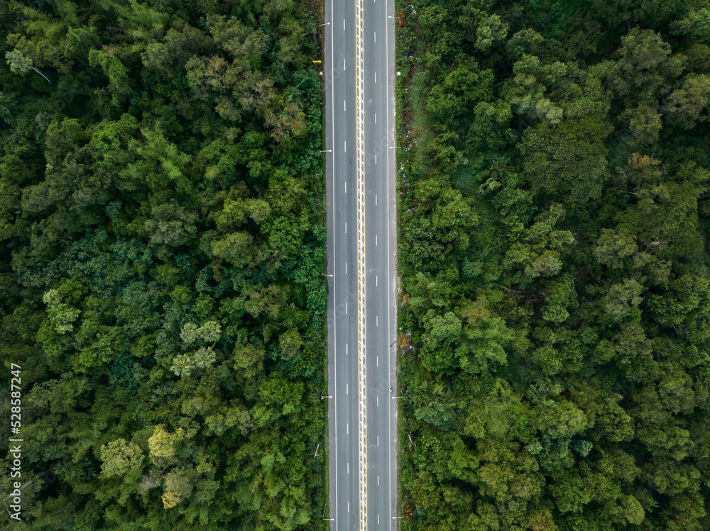 Fototapeta premium Aerial view from drone of straight two lane road with both sides is lush green woodland.