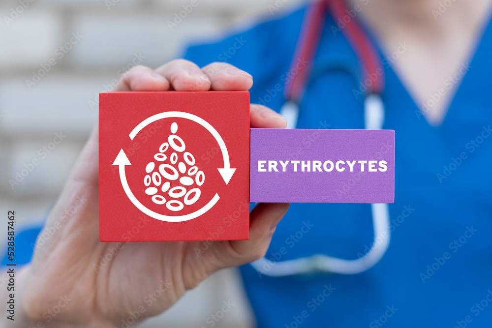 Erythrocytes red blood cells medical scientific concept. Test of ESR