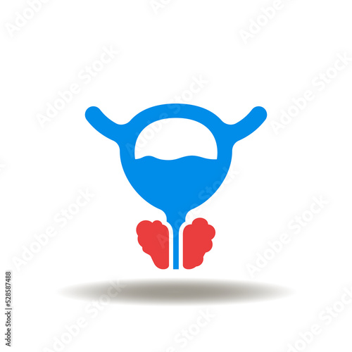 Vector illustration of prostate inflammation. Icon of urinary dysfunction. Symbol of prostate cancer, prostatitis. Sign of adenoma prostate BPH. photo