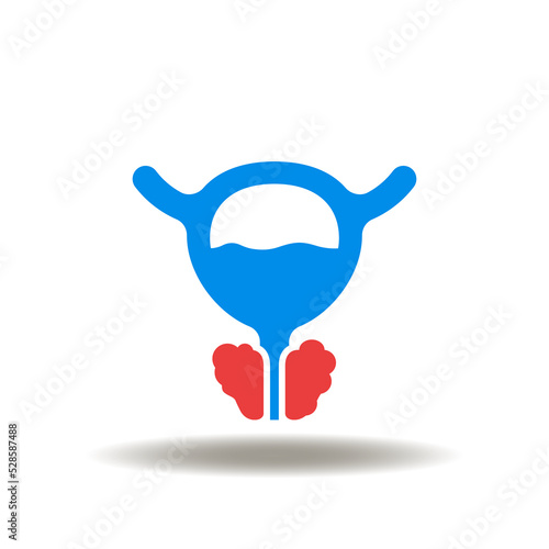 Vector illustration of prostate inflammation. Icon of urinary dysfunction. Symbol of prostate cancer, prostatitis. Sign of adenoma prostate BPH.