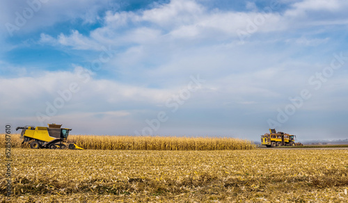 panoramic of a corn field where harvesters are working, beautiful sky