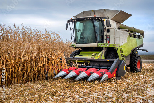 combine harvester working in a corn field during harvest