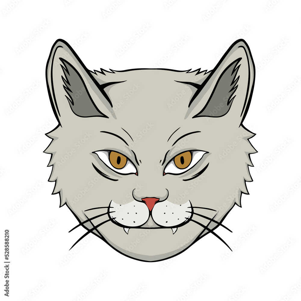 cat with a smile cat with a smile
