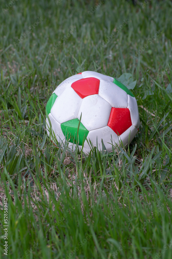 Fototapeta premium Used soccer ball on the grass.