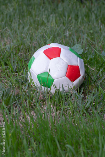 Used soccer ball on the grass.