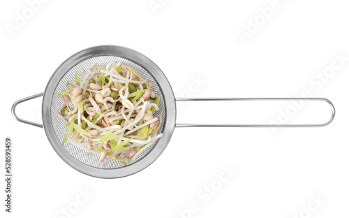 Mung bean sprouts in strainer isolated on white, top view photo