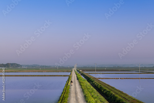 Wallpaper Mural 春の農作業　田んぼ農道の除草作業 Torontodigital.ca