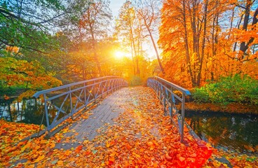 Ingelijste posters Meisjeskamer Houten brug in mistig herfstbos  © raisondtre