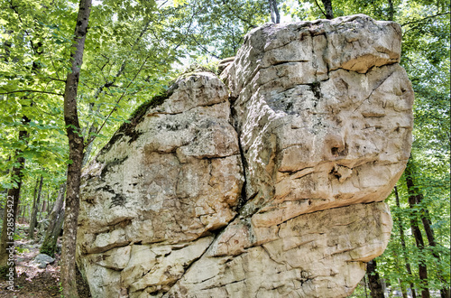 Big Boulder at Moss Rock Preserve in Hoover, Alabama, USA	