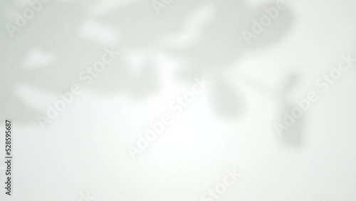 leaf shadow footage for background texture overlay. minimalist nature motion graphic in blur and soft texture