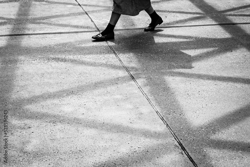 Canvas Print Afternoon at Shibuya station, Tokyo,Japan