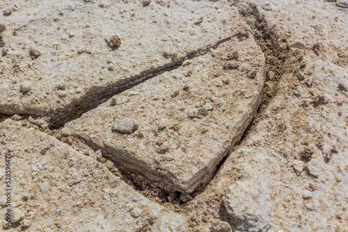 Salt brick mined in the Danakil depression, Ethiopia. photo