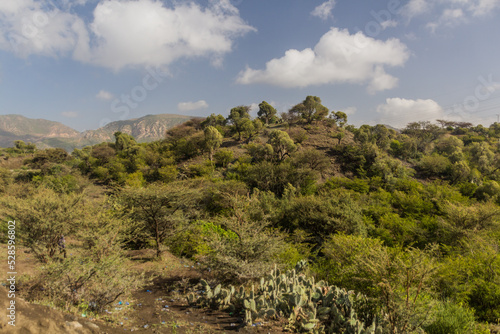 Hilly landscape near Mekele, Ethiopia photo