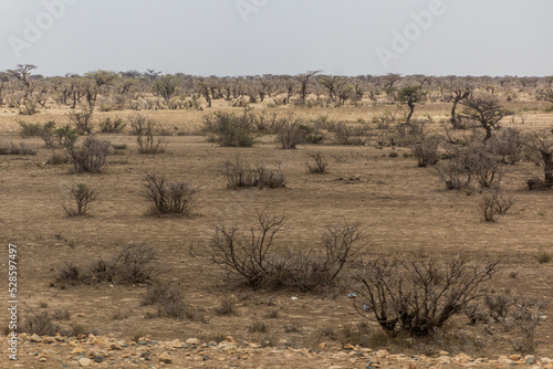 Landscape of eastern Ethiopia near Jijiga