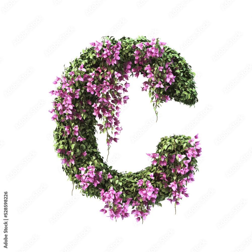3d rendering of Bougainvillea alphabet set 2	
