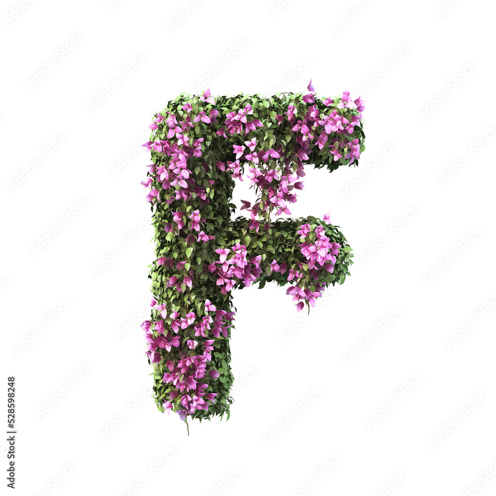 3d rendering of Bougainvillea alphabet set 2
3d rendering of Bougainvillea alphabet set 2