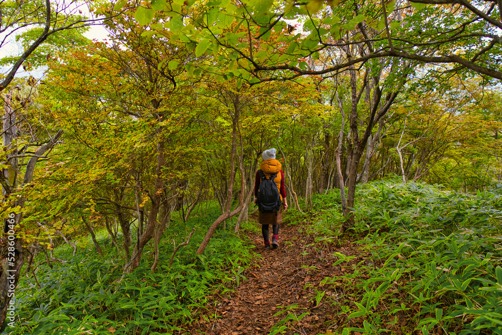 Obraz premium 秋の紅葉をハイキングする女性