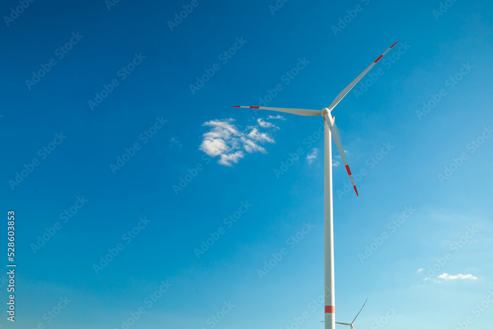 Fototapeta premium Wind energy.Alternative natural energy source. Wind energy price.Green renewable energy cost