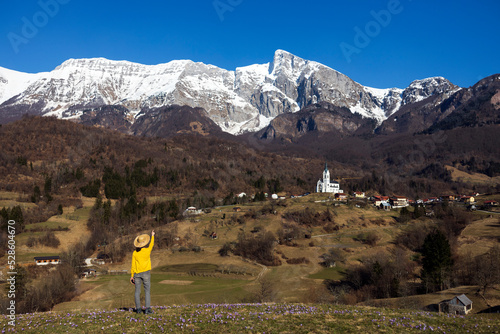 Adult Woman Enjoying the View of Alps  in Springtime from a Meadow full of Saffrons photo