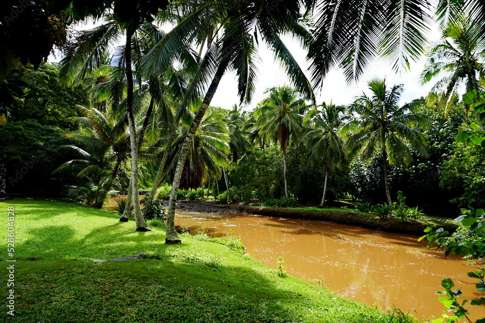 Obraz premium Tropical river