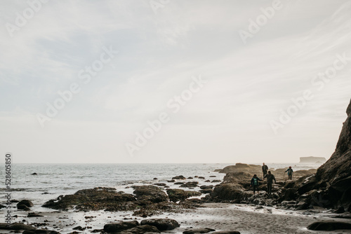 Exploring the Beach