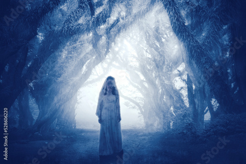 Canvas-taulu Creepy bride ghost standing in the misty forest