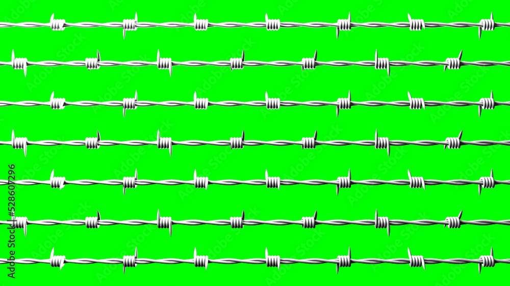 White barbwire on green chroma key background.
3D illustration.
