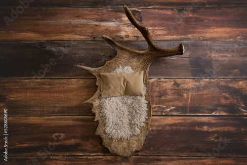 Moose Antler with Fur Newborn Digital Background photo