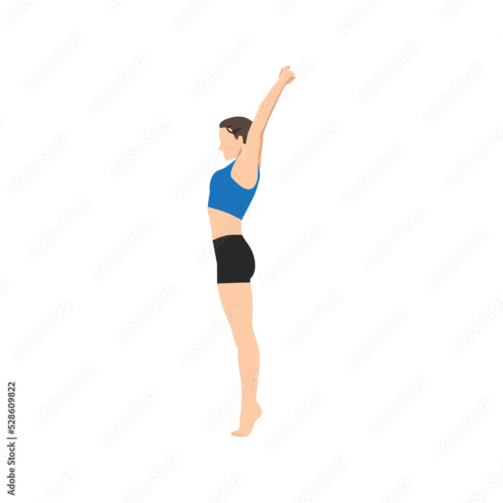Woman doing Palm Tree Pose on Tiptoes. Practice Urdhva Hastasana on Tiptoes. Flat vector illustration isolated on white background Woman doing Palm Tree Pose on Tiptoes. Practice Urdhva Hastasana on Tiptoes. Flat vector illustration isolated on white background