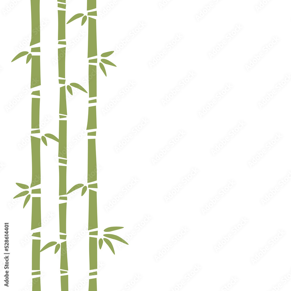 Obraz premium Vector bamboo illustration on white background