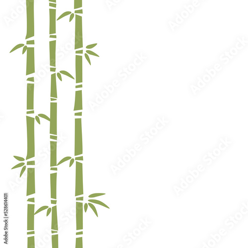 Vector bamboo illustration on white background