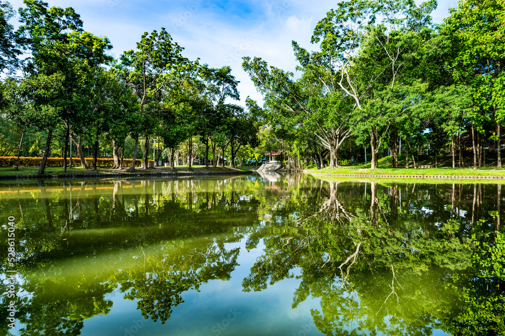 Shady Public Park in Chiang Mai Province Shady Public Park in Chiang Mai Province