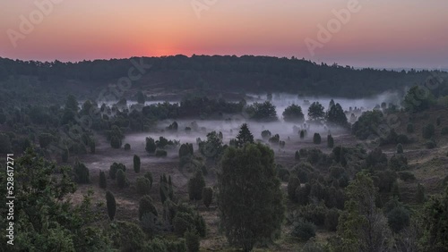 Sunrise Timelapse with Fog in Heather Landscape (Lüneburger Heide) photo