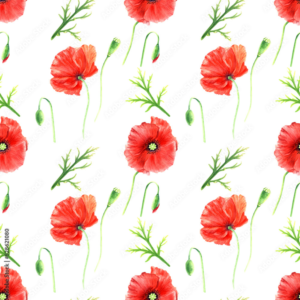 Seamlesss pattern with red wild poppies isolated on white background