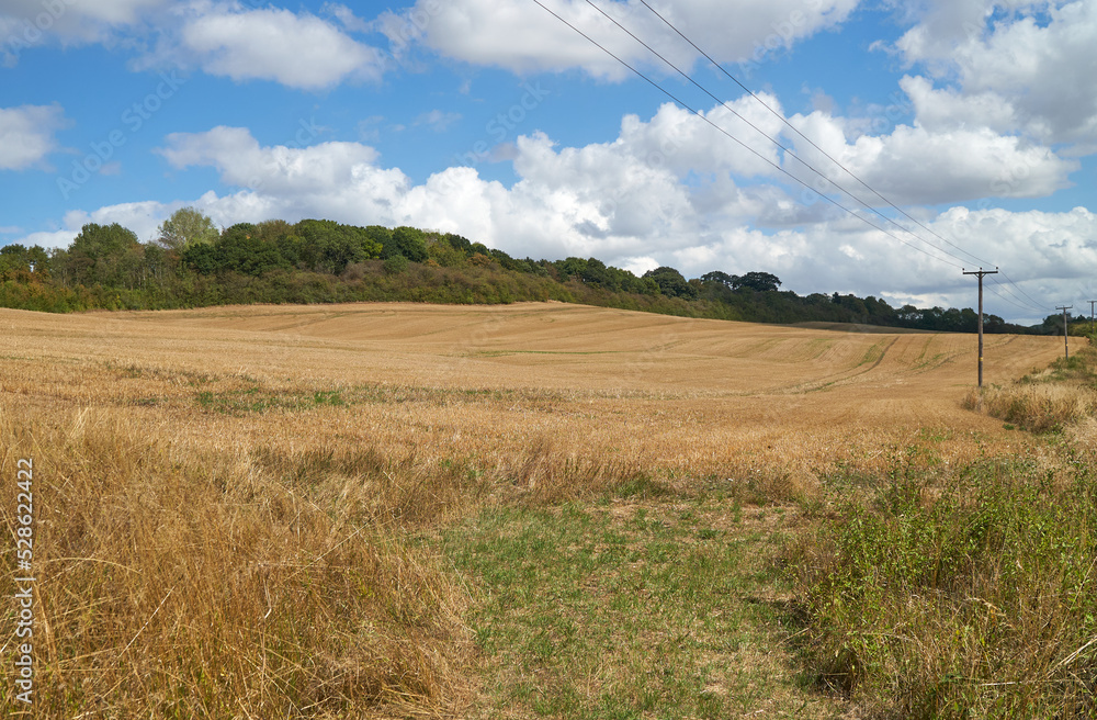 Dry crop field with stubble after harvest Dry crop field with stubble after harvest
