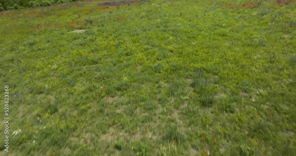 Spring Meadows And Flowers At Nature Surroundings Near Aspindza In Southern Georgia. Aerial Drone Shot Spring Meadows And Flowers At Nature Surroundings Near Aspindza In Southern Georgia. Aerial Drone Shot