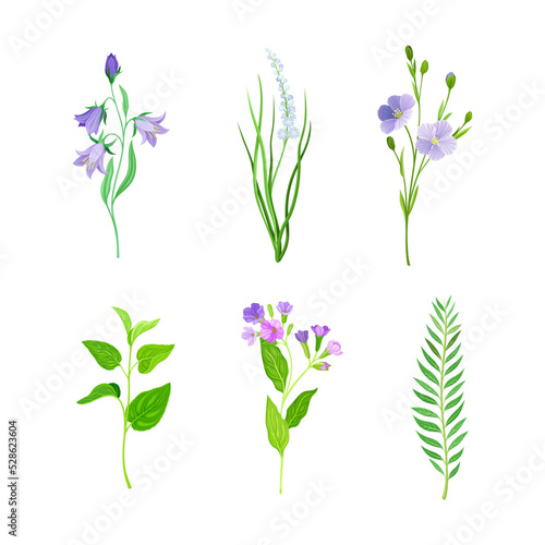 Violet Flowers or Blossom on Leafy Stalk or Stem Vector Set
