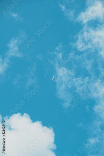 沖縄の空