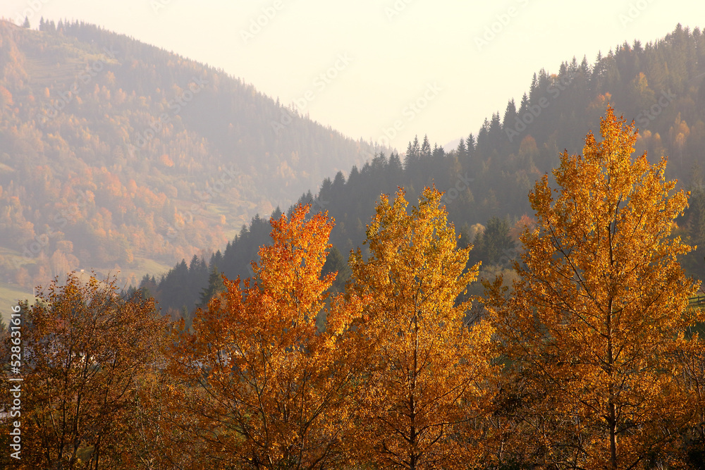 beautiful autumn landscape with a house on a mountain and trees