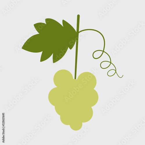 Bunch of ripe yellow grape berries
