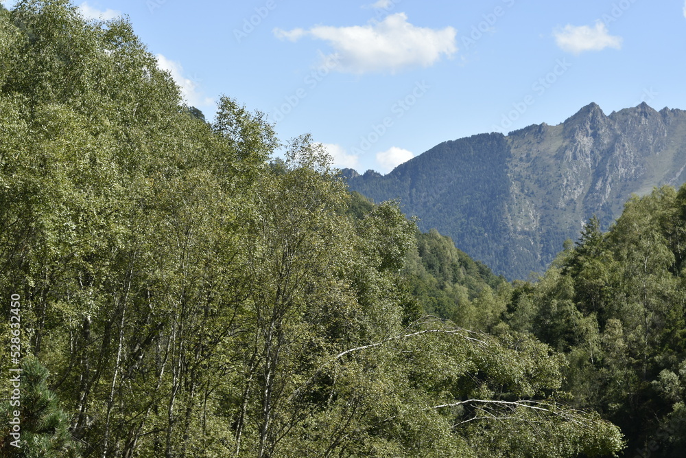 Paysage de montagne aux Cascades de l’Artigue en Ariège