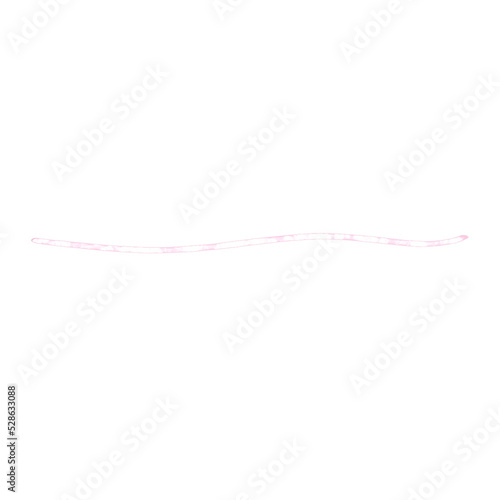 Pink Shiny Line
