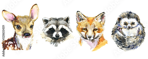 cute baby animals watercolor set, woodland life, forest wildlife © Елена Фаенкова