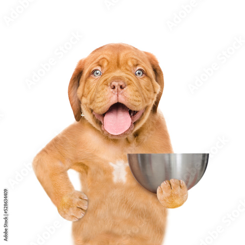 Hungry puppy with open mouth holds empty bowl. isolated on white background