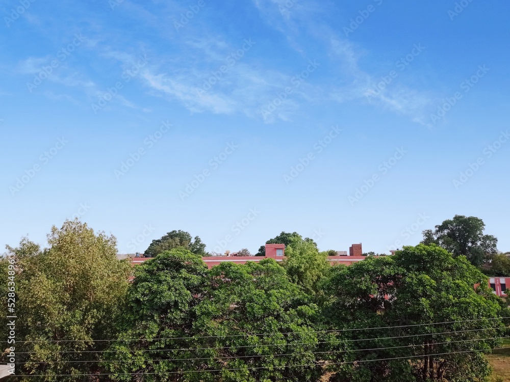 Landscape photo with blue sky and trees  which show that nature is very beautiful .