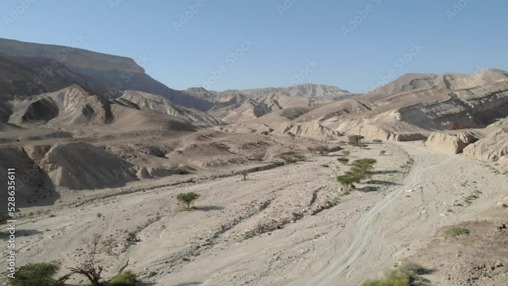 Desert landscape wadi with acacia trees, Aerial 2022, israel
Drone view from Negev desert, israel, 2022
Desert landscape wadi with acacia trees, Aerial 2022, israel
Drone view from Negev desert, israel, 2022